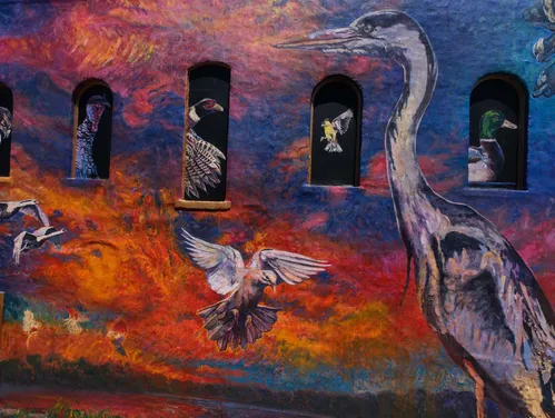 Mural of birds against a brightly colored background