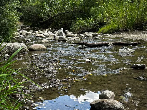 Scenic Iowa waterway  