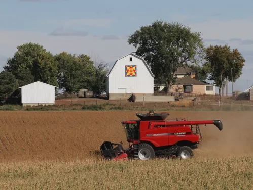 Harvesting crops with barn in the background