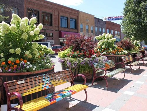 Flowers and benches downtown Ames