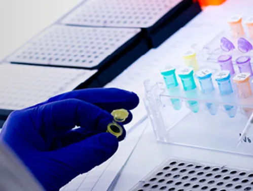 Gloved hand holding a test tube