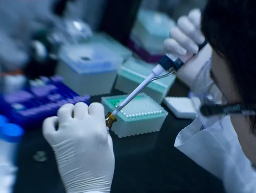 Close up of hands transferring liquid into a bottle in a lab setting