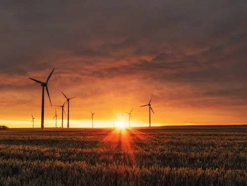 Wind turbines in field during sunset