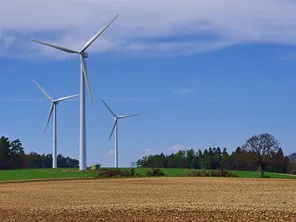 Windturbines on a farm field