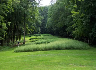 Effigy Mounds - Marching Bear group with visitor (NPS photo)