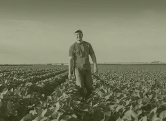 Young male farmer walking in soybean field