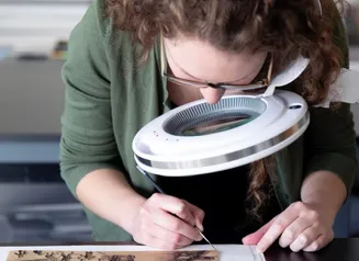 Erin Naylor works on restoring a paper object using a large magnifying glass