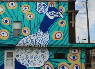 Mural of a peacock on the side of a building