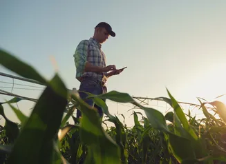 farmer in a field