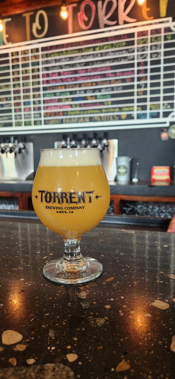 Glass of beer on a bar counter